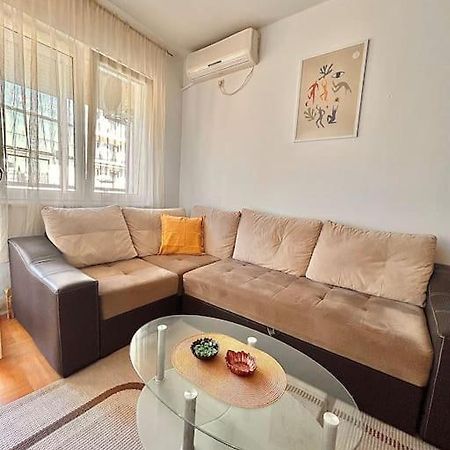 Cozy, Charming One Bedroom Apt Podgorica Esterno foto