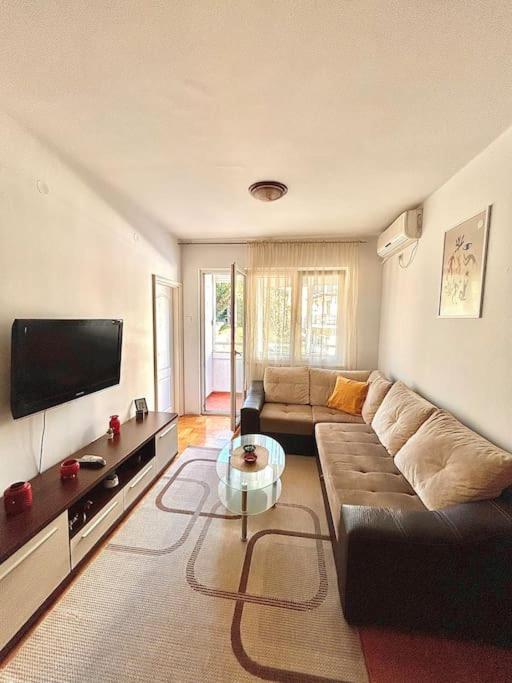 Cozy, Charming One Bedroom Apt Podgorica Esterno foto