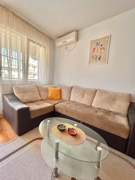 Cozy, Charming One Bedroom Apt Podgorica Esterno foto